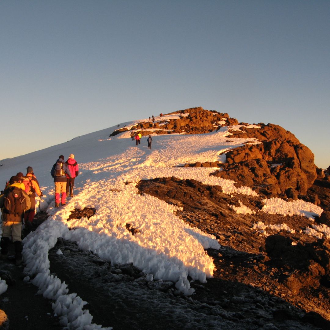 trekking to Mt Kilimanjaro machame route