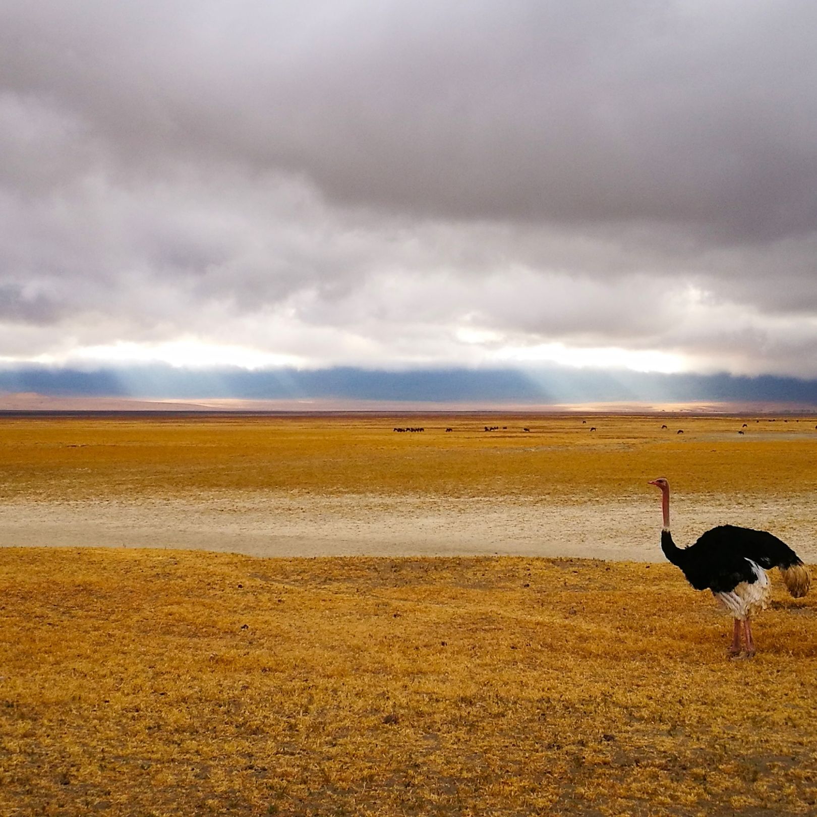 Lake Manyara