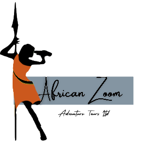 African zoom Logo