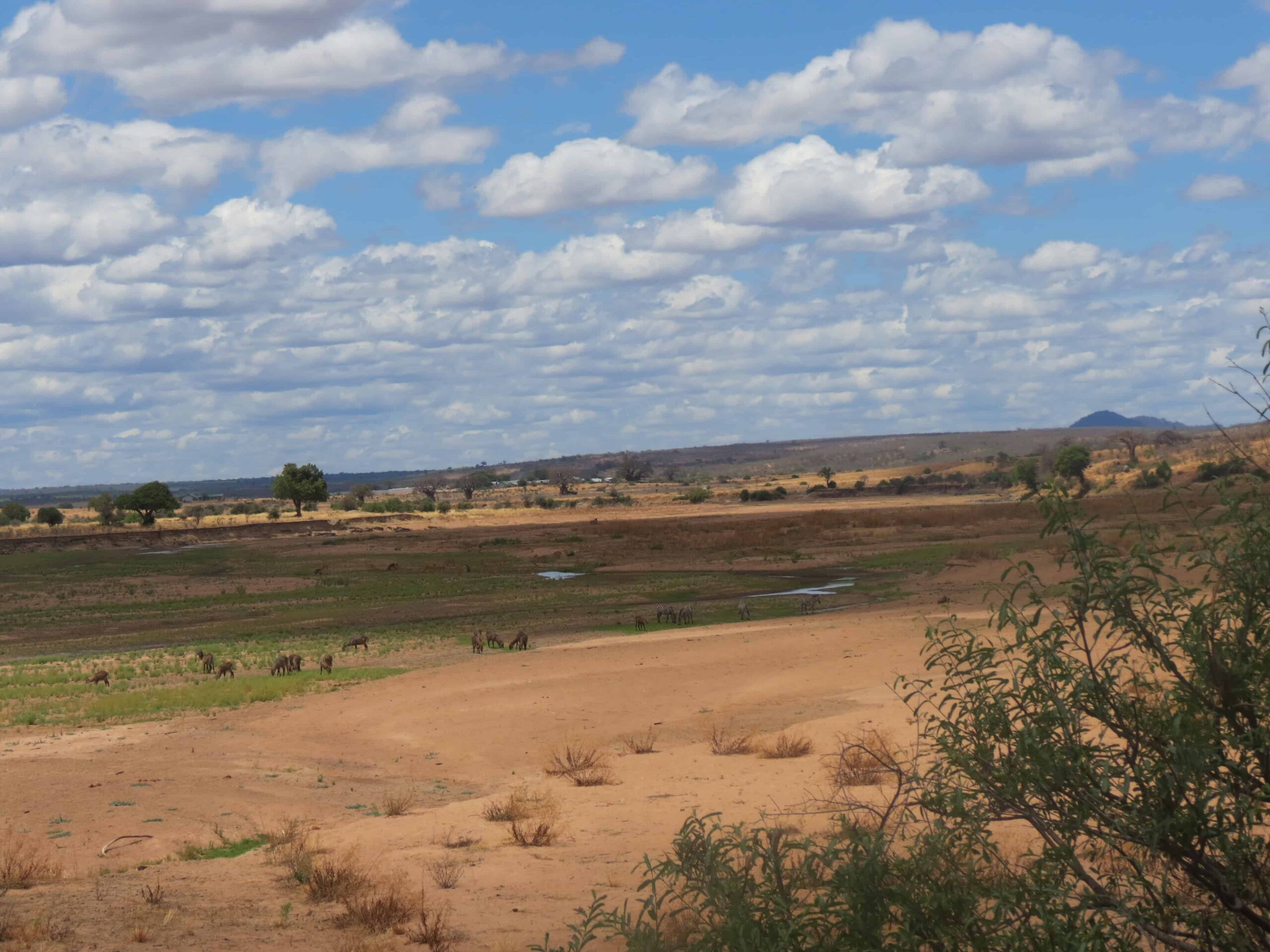 Ngorongoro