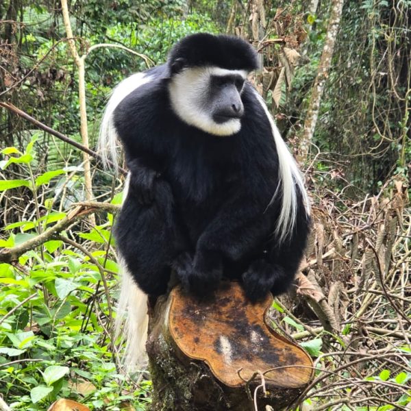ARUSHA NATIONAL PARK