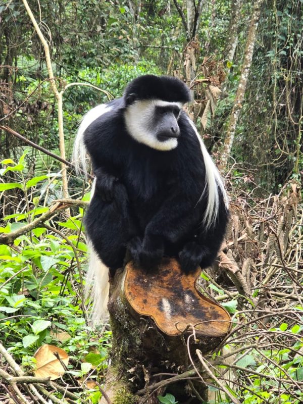 ARUSHA NATIONAL PARK