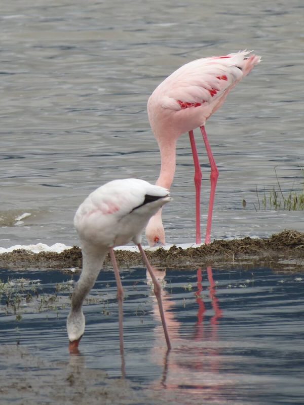 Arusha National Park
