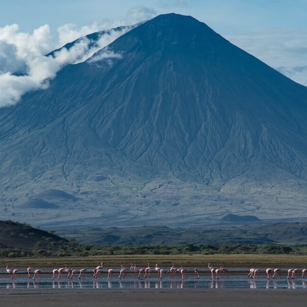 Oldoinyo_Lengai_Tanzania
