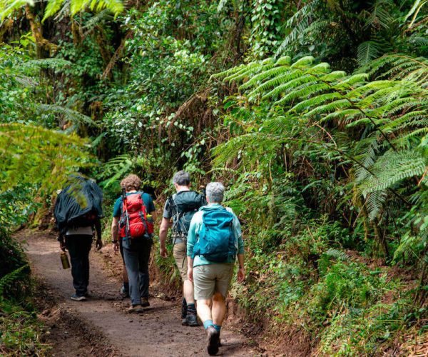 Rongai Trekking kilimanjaro