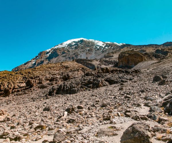 Rongai route trekking Kilimanjaro