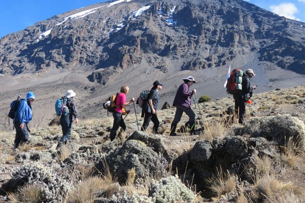 Trekking To Machame route