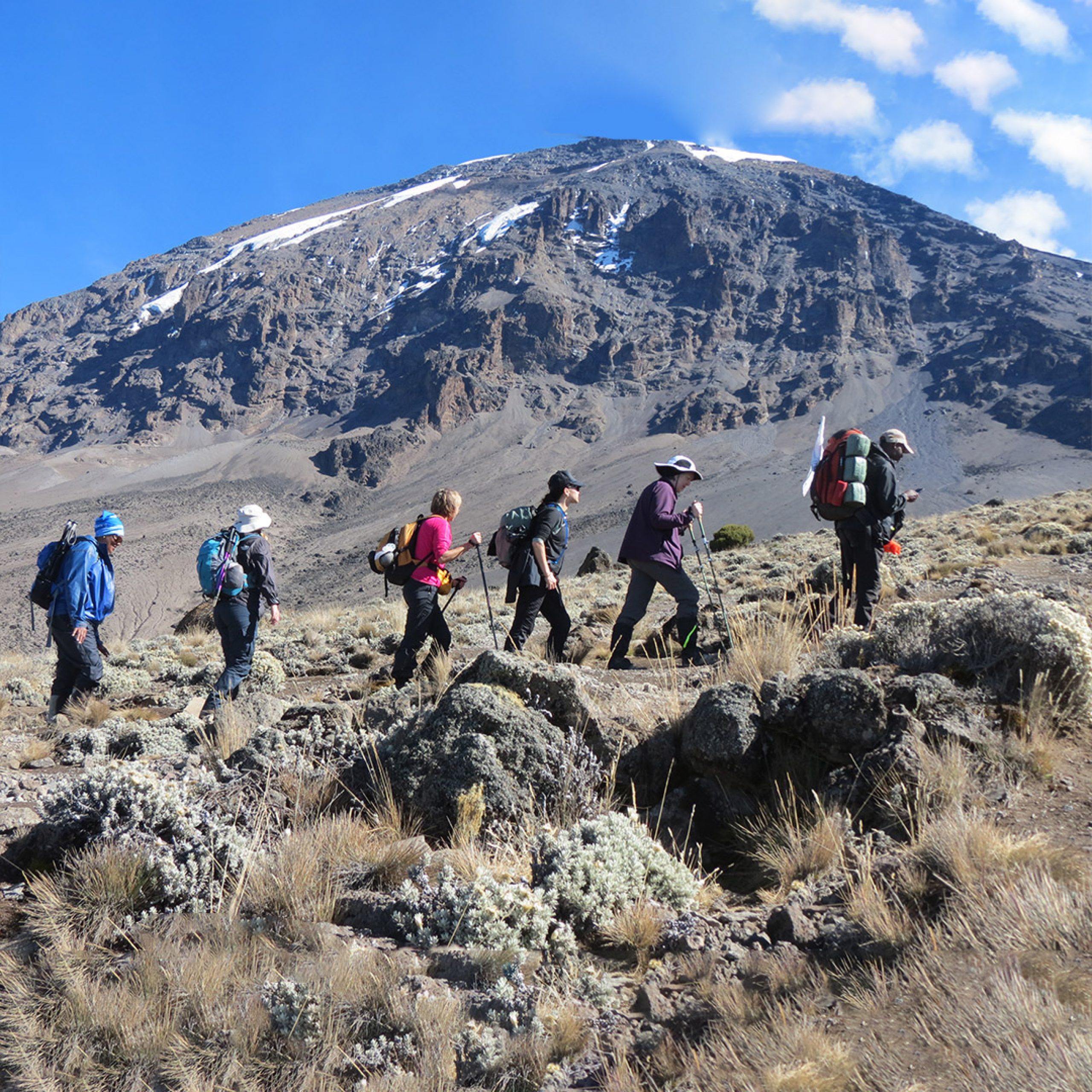 Trekking To Machame route