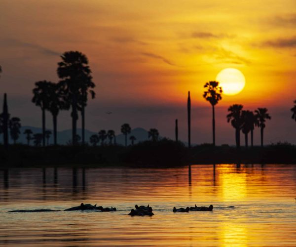sunset in Nyerere National Park
